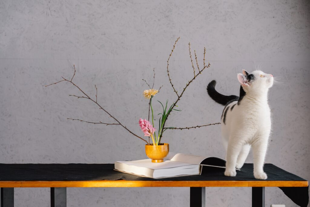 a cute cat on a table with Fowers